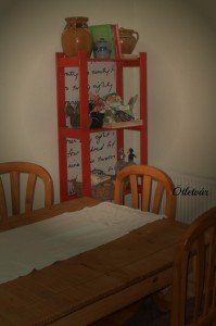 OLYMPUS DIGITAL CAMERA